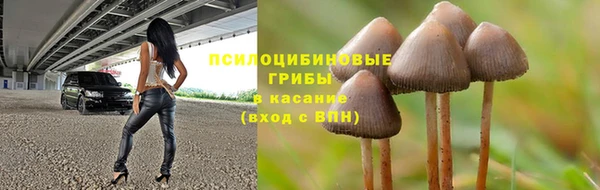 дживик Нея