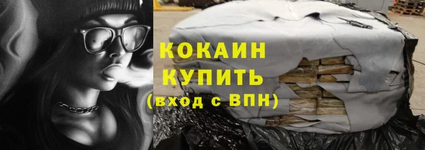 дживик Новозыбков