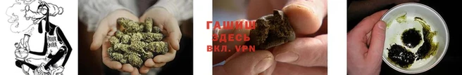 PSILOCYBIN Нефтекумск
