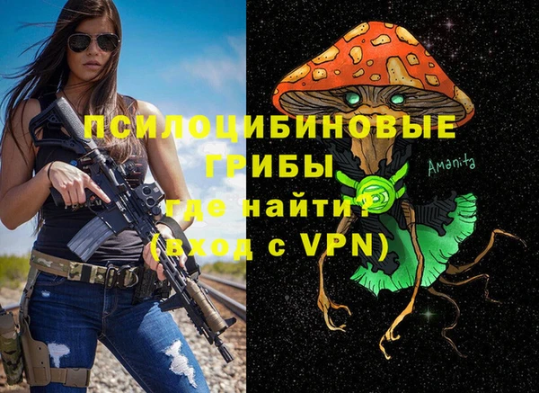 дживик Нея